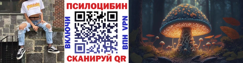 Купить закладки  Нурлат  Псилоцибиновые грибы Psilocybe 
